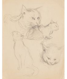 Cats. Sketches. Evsey Reshin